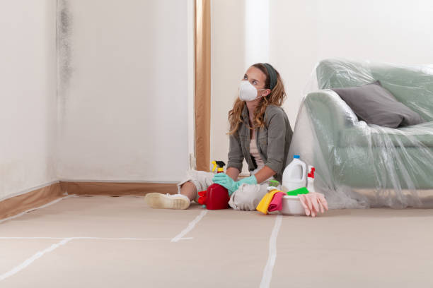 Reliable Mold Cleanup contractor in Fulton, KY by WQB Mold Removal